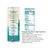 Recoup Organic Prebiotic Sparkling Beverage with electrolytes and ginger Variety 12 pack