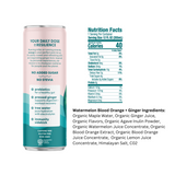 Recoup Organic Prebiotic Sparkling Beverage with electrolytes and ginger Variety 12 pack
